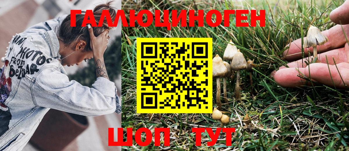Псилоцибиновые грибы мицелий  Галлюциногенные грибы Psilocybine cubensis  закладка  Вход с VPN  Шахты 